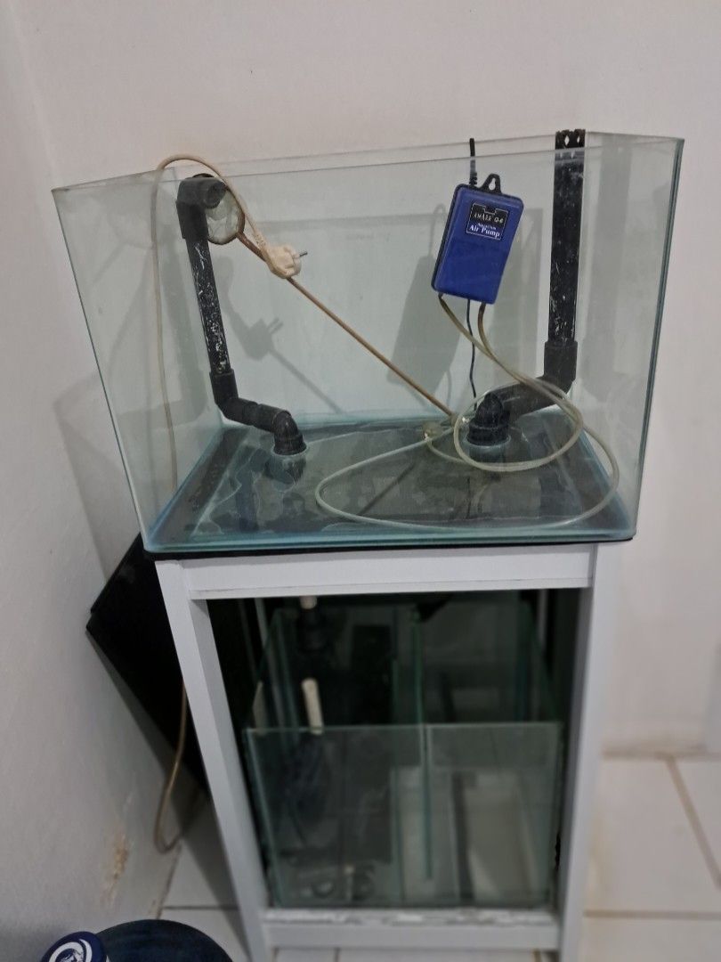 Aquarium filter bawah, Barang Yang Dicari di Carousell