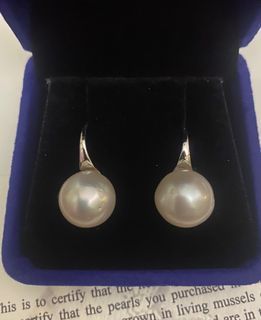 Authentic South Sea Pearl Earrings