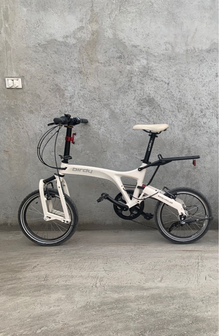 Birdy Touring Monocoque Folding Bike, Sports Equipment, Bicycles