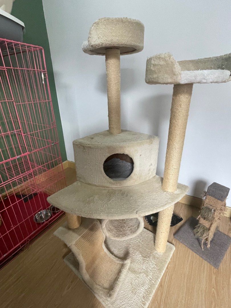 CAT TREE POHON KUCING PET KINGDOM PRELOVED, Perlengkapan Hewan
