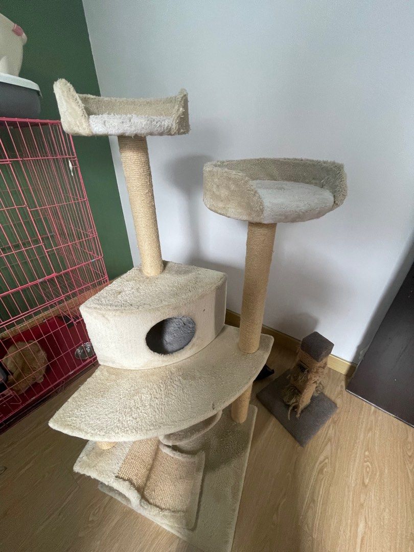 CAT TREE POHON KUCING PET KINGDOM PRELOVED, Perlengkapan Hewan