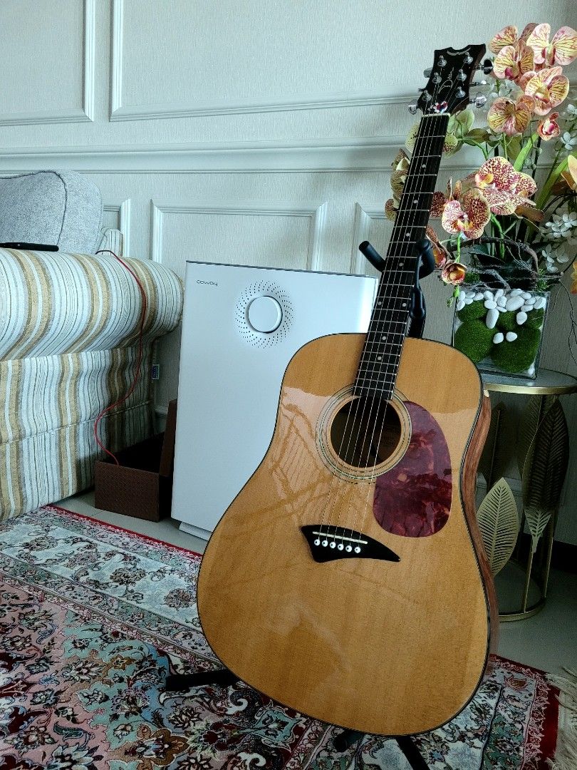 Dean ak48pk hot sale acoustic guitar