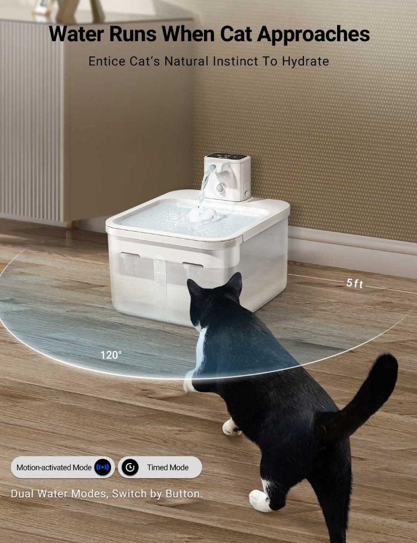 Drinkwell cat water fountain battery operated best sale