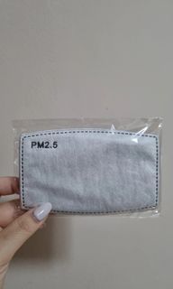 Face mask filter