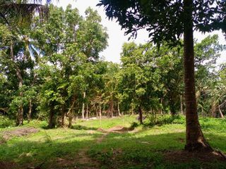 Farm lot for sale with fruits bearing near Tagaytay