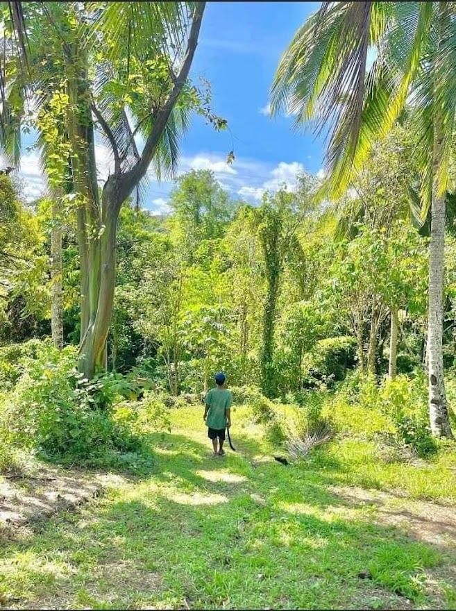 FOR SALE Farm Land in Sampaloc, Tanay, Rizal, Property, For Sale, Lot