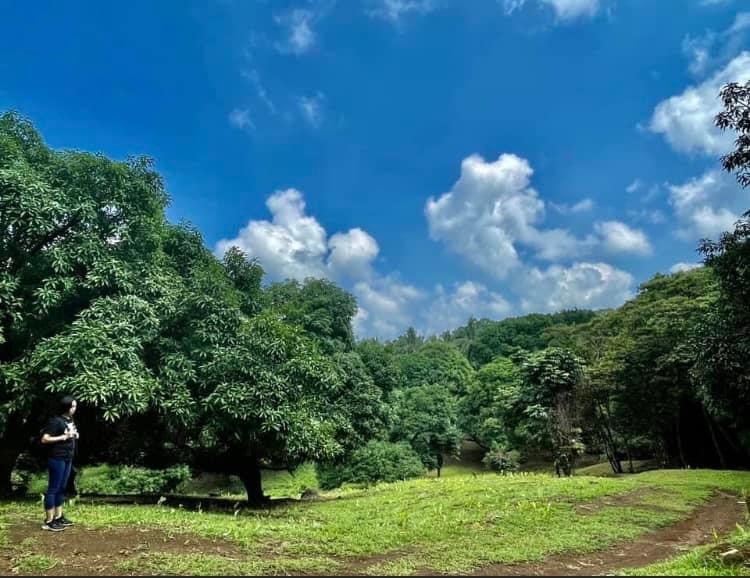FOR SALE Farm Land in Sampaloc, Tanay, Rizal, Property, For Sale, Lot