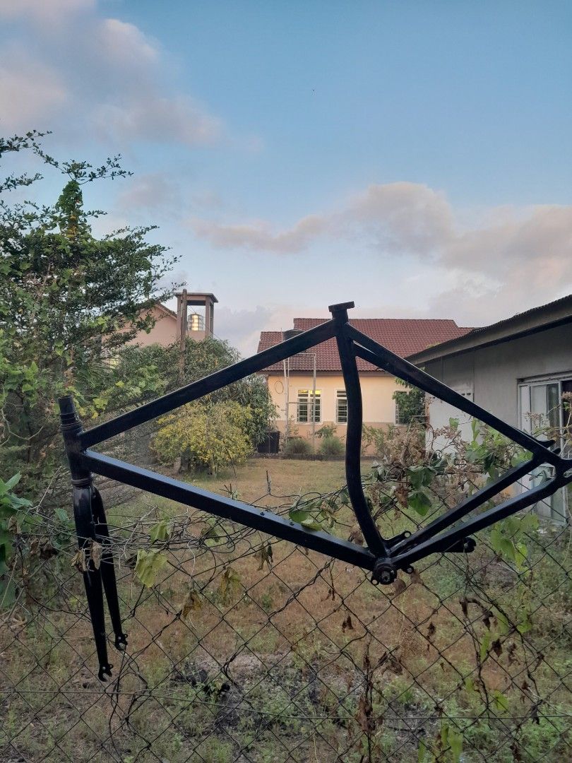 fixie body frame