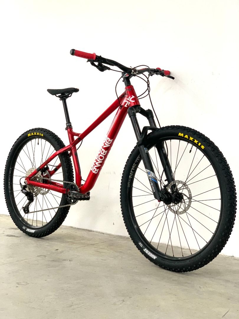 Freshly Built Custom Build Dabomb Sentinel 29er Enduro Full Bike with BZ wheels