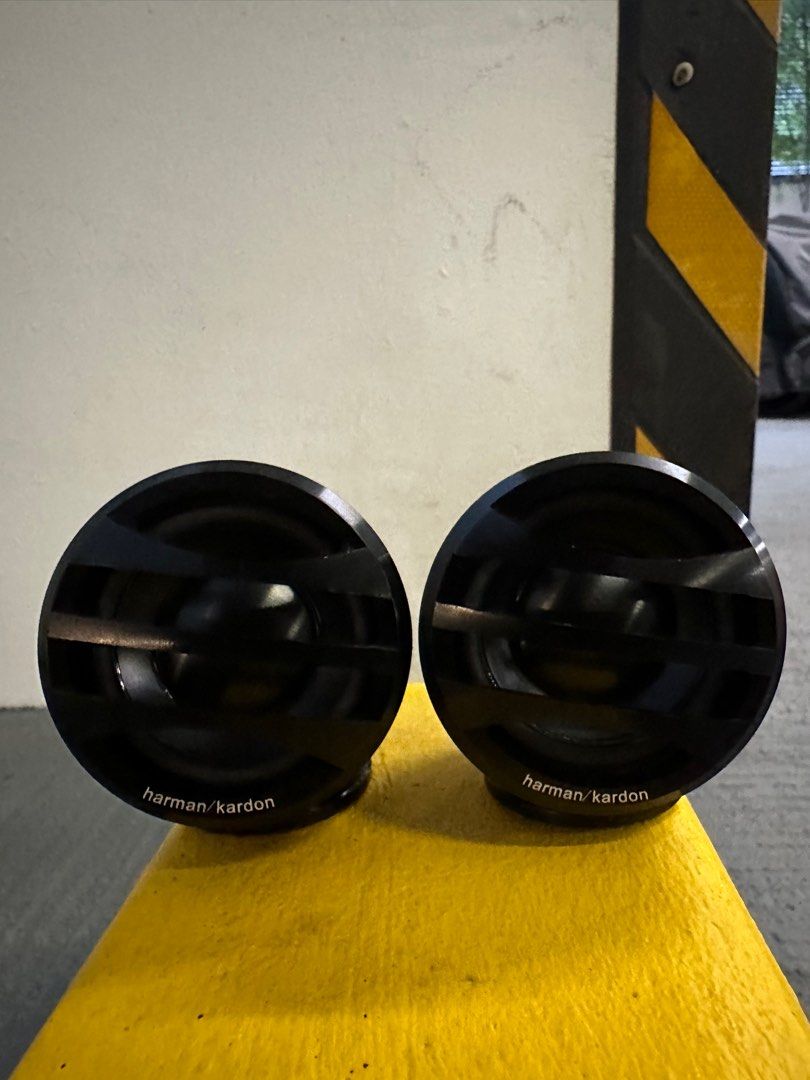 Harman / Kardon full range tweeter and Steg 2 piece speaker , Car