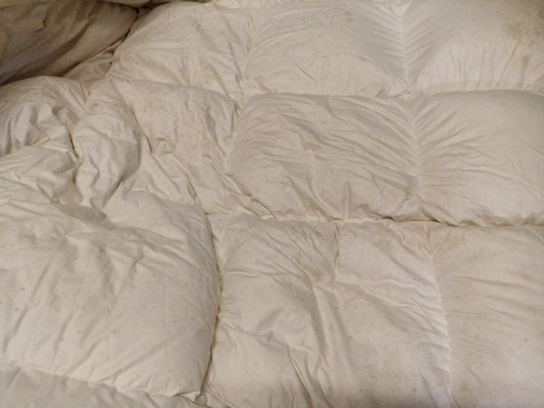 amazon featherbed mattress topper california king