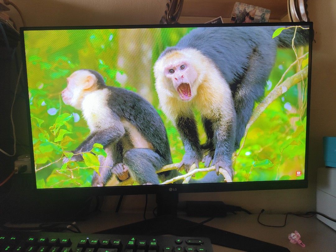 MONITOR LG 27 GAMER 27GL650F FULL HD 144HZ