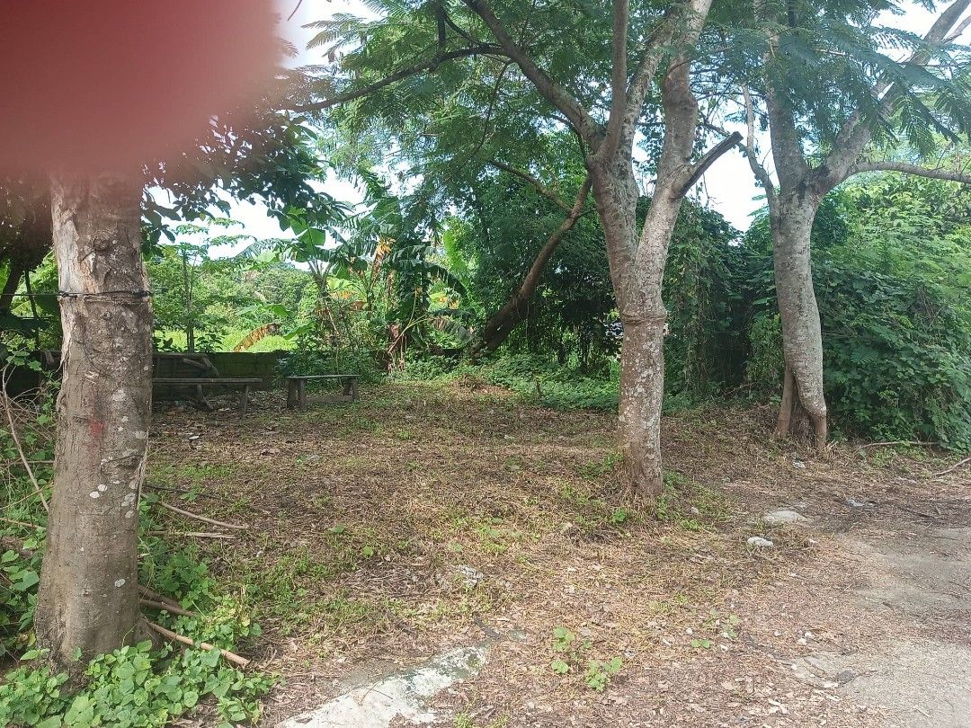 Lot for sale Naic Cavite St. JULIANNE, Property, For Sale, Lot on Carousell
