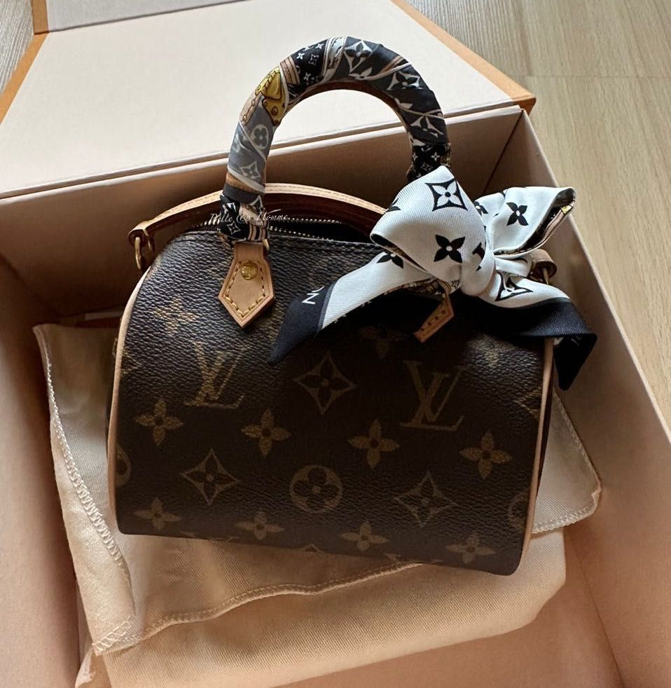 Louis Vuitton Nano Speedy, Luxury, Bags & Wallets on Carousell