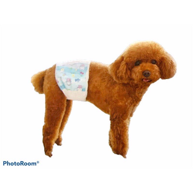 MALE & FEMALE DOG DIAPER / 1 pack (10pcs) on Carousell