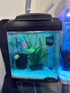 (Category: ) located in . Submitted by kty.perez (Listing ID 1220642417, Image 1). Description: .