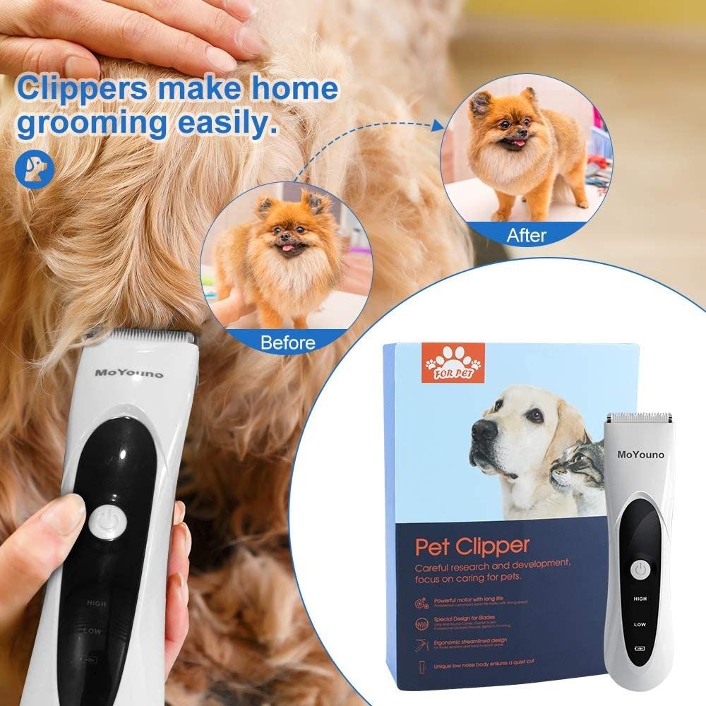 Grooming dog at home with clippers discount