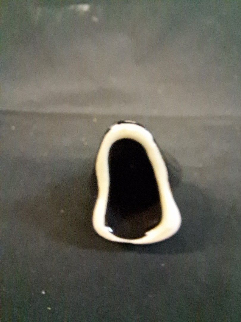 Vintage Pie Funnel Bird, Black Bird, Crow, Yellow Beak & White Eye, Pie