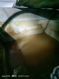 (Category: ) located in . Submitted by uniservice_solution (Listing ID 1220673952, Image 1). Description: .