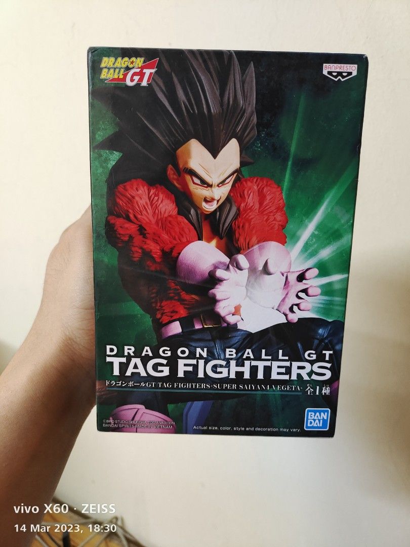 Dragon Ball GT Tag Fighters Super Saiyan 4 Vegeta