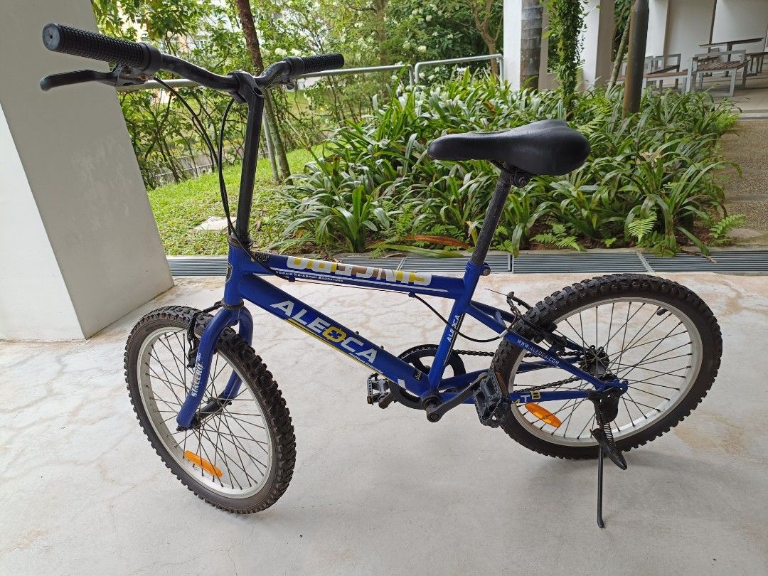 20 Children Young Adult Mountain Bike