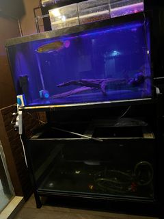 (Category: ) located in . Submitted by aa.kayice (Listing ID 1220272269, Image 1). Description: .