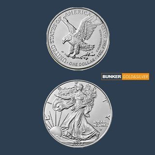 American Eagle Silver Coins 1 Oz - Year 2022 / Never Pre-owned!!
