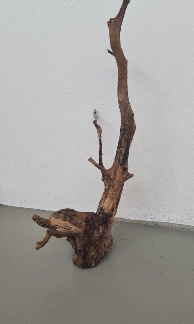 Aquarium Driftwood, Pet Supplies, Homes & Other Pet Accessories on