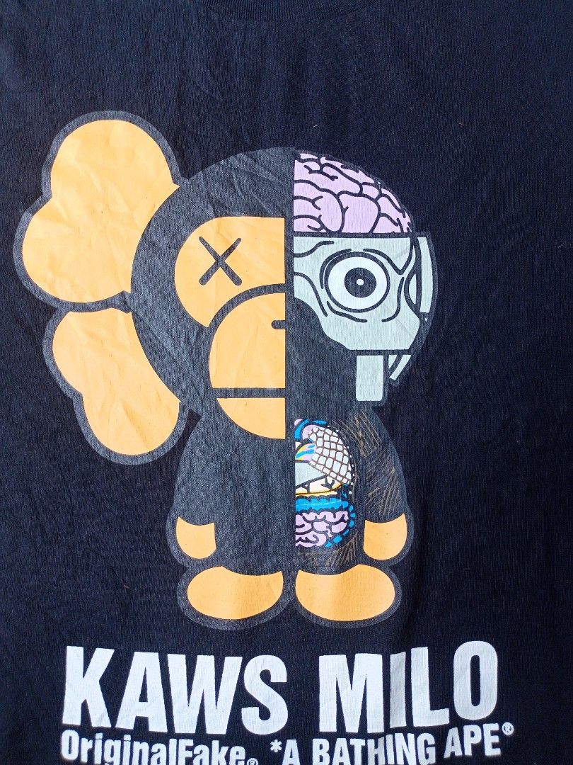 bape kaws shoes