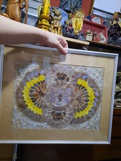 Butterfly wings on frame