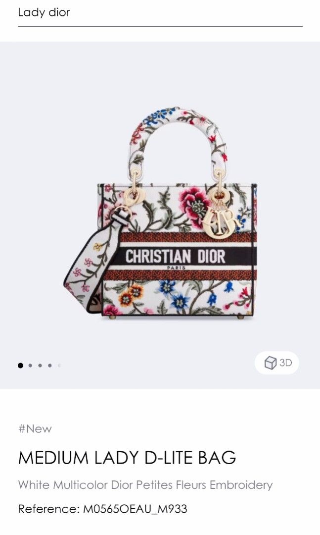 Japan Only] Lady D-Lite Dior Bag — WISHLIST