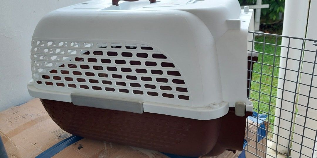 Pet sale voyageur 200