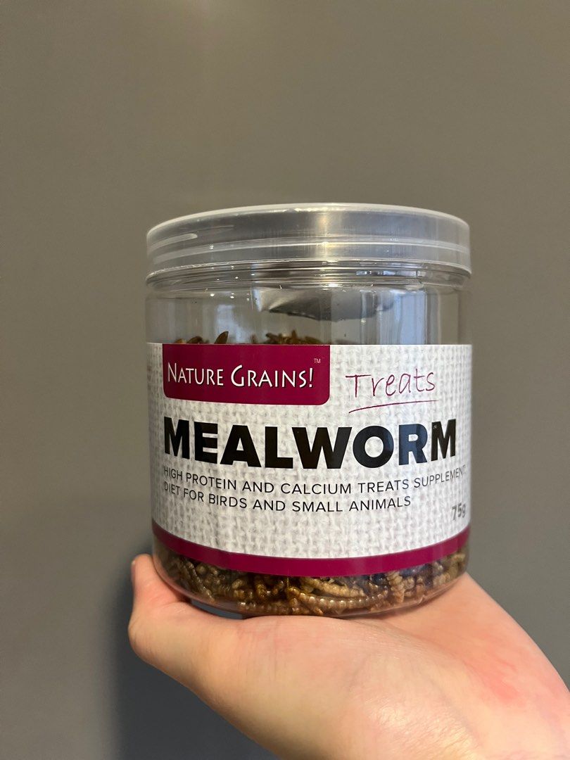 Dried Mealworms, Pet Supplies, Pet Food on Carousell