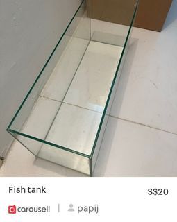 Fish Tank Gex