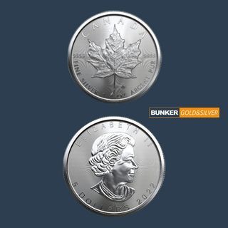 Fresh Canadian Silver Maple Leaf Coins 1 Oz 2022 / Never Pre-owned!!