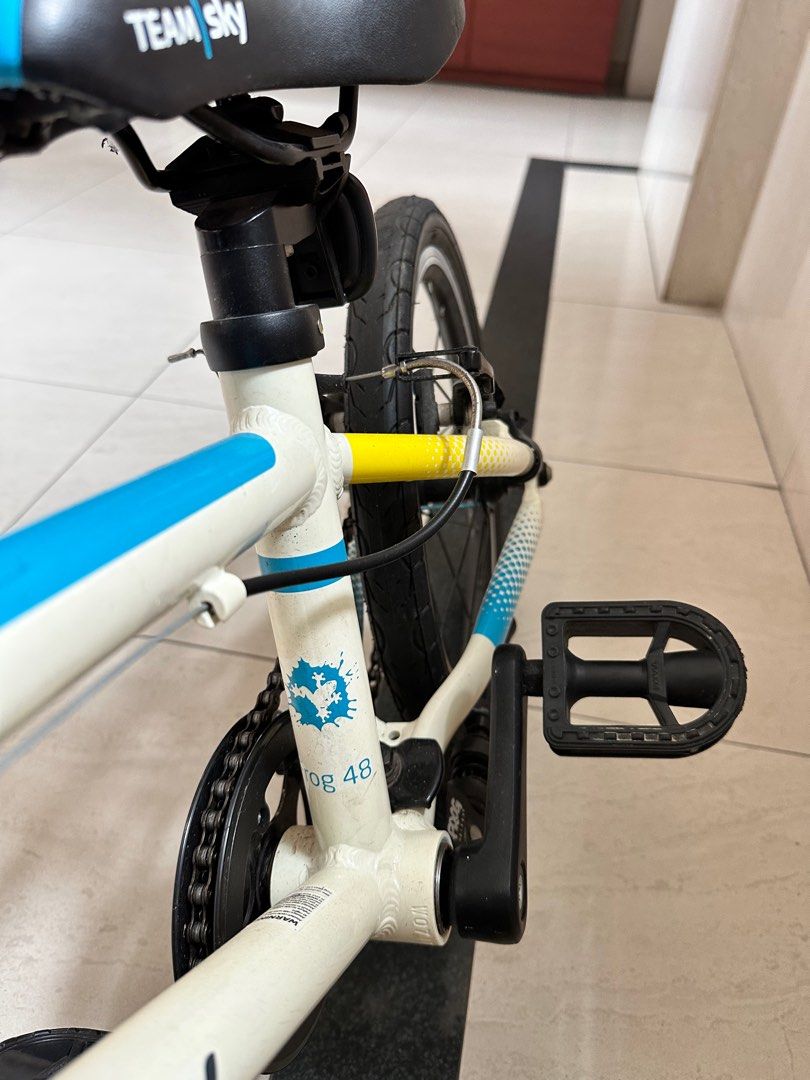 Frog 48 Team Sky kids bike