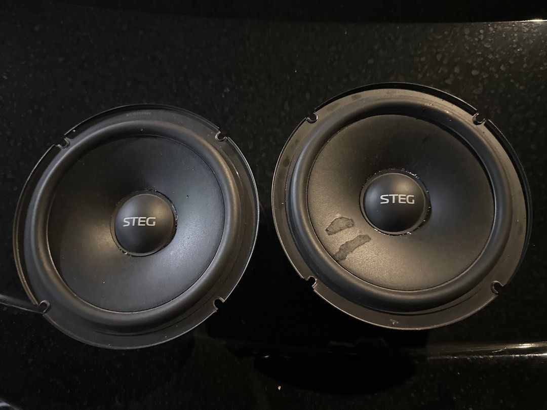 Harman / Kardon full range tweeter and Steg 2 piece speaker , Car