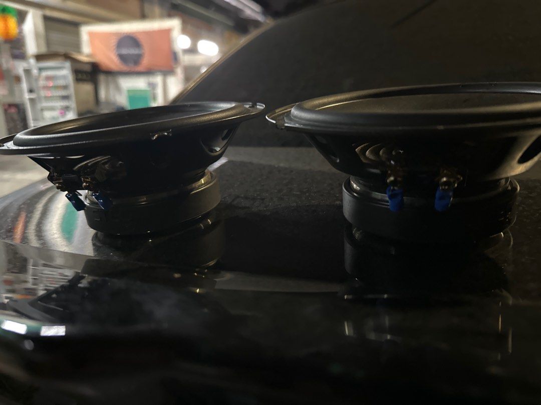 Harman / Kardon full range tweeter and Steg 2 piece speaker , Car