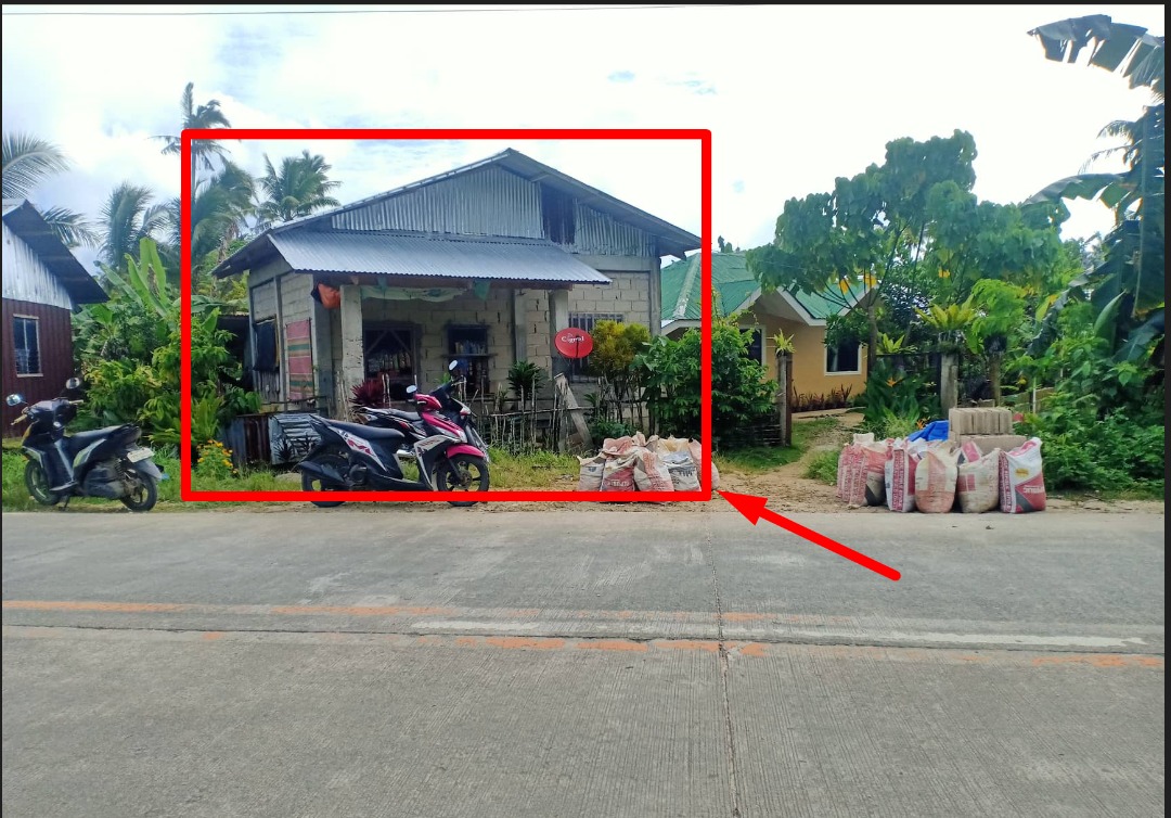 HOUSE AND LOT FOR SALE SIARGAO ISLAND, Property, For Sale, House & Lot on Carousell