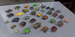 Kaiyodo Turtle Figures
