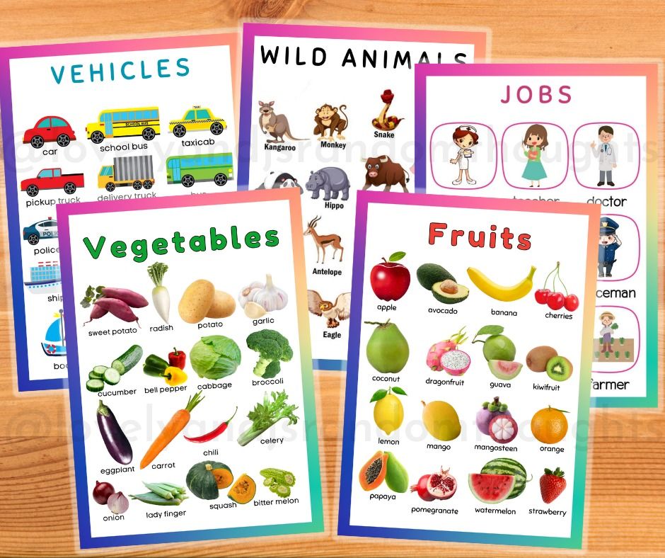 Laminated Educational Charts A4 size, Hobbies & Toys, Stationary