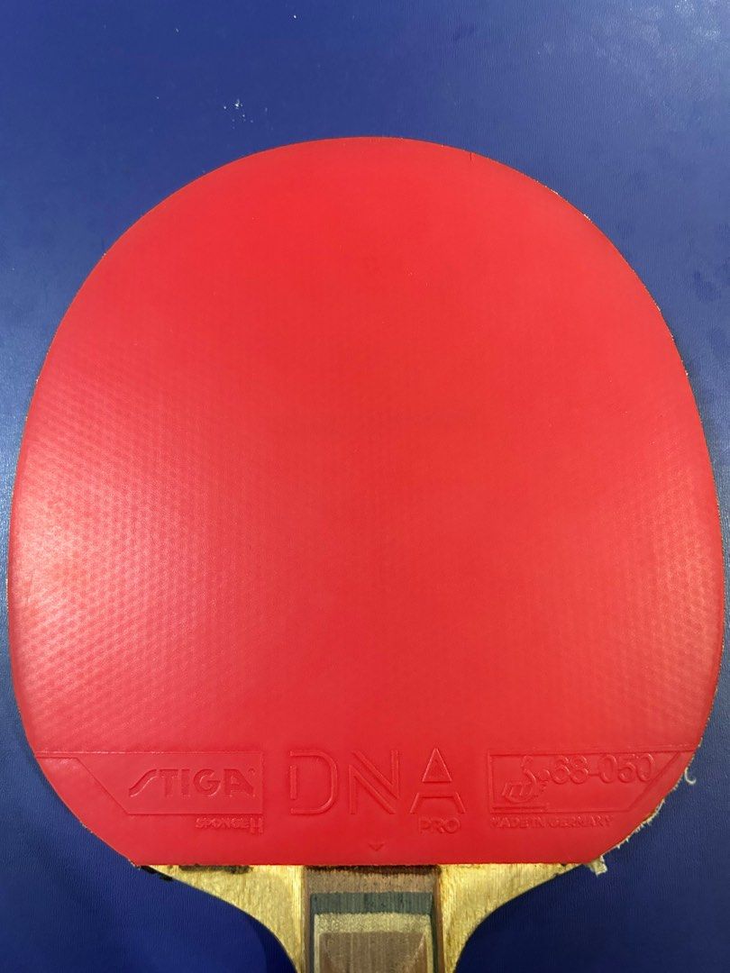 Nittaku Large Blast + rubbers, Sports Equipment, Sports & Games, Racket