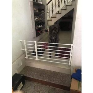 Stackable hotsell pet gates