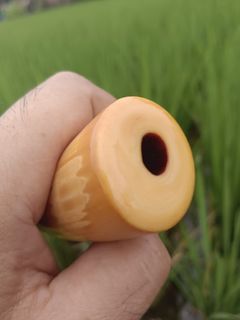 PIPA GADING PUCUK HIG QUALITY