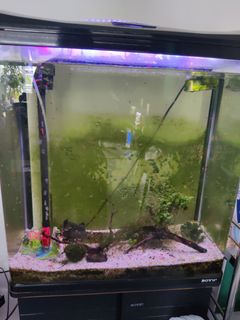 (Category: ) located in . Submitted by podium86 (Listing ID 1220787885, Image 1). Description: .