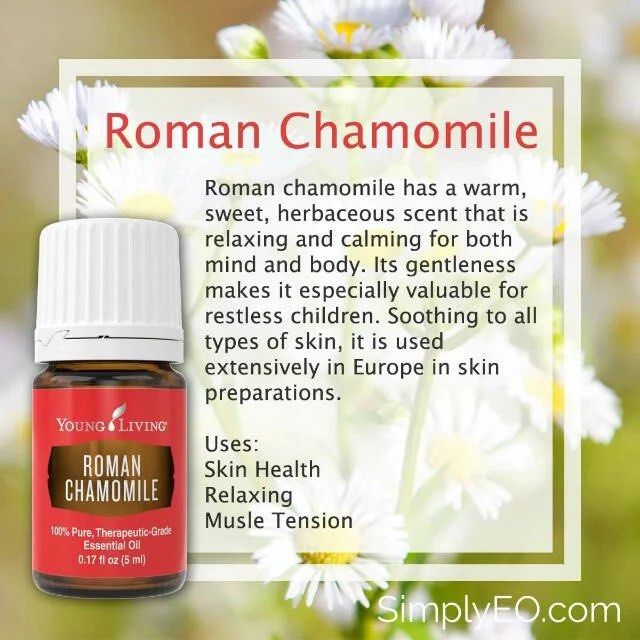 Young Living Roman Chamomile Essential Oils