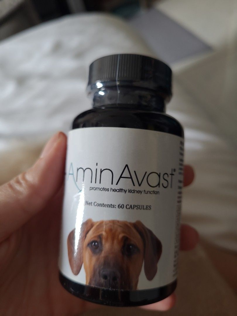 Aminavast outlet for dogs