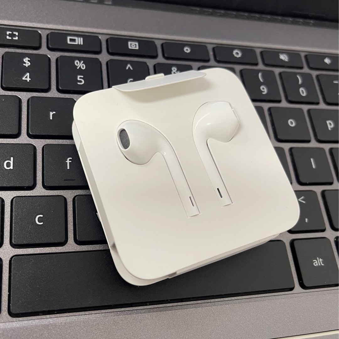 Apple Headset with Lightning connector (not AirPods) Apple lightning