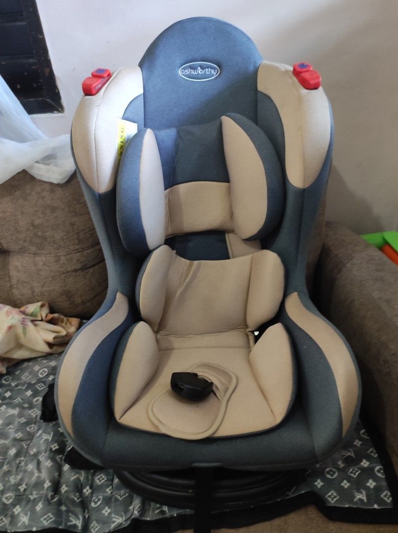 Ashworthy car seat review sales