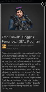 CSGO SEAL FROGMAN character “goggles”